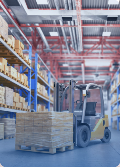 Оптовых сетей